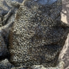 Chiffon plumetil velvet verde militare e celeste